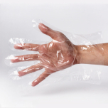 WS Unisize Clear Poly Glove 500 Pcs/Box - 10 Boxes/Case