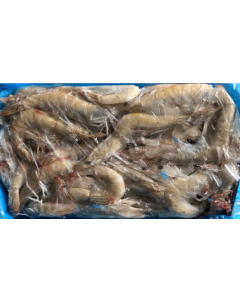 Head on Shrimp - 4lb*6, $3.69/lb