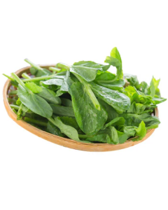 Snow Pea Tip - 10lb/case