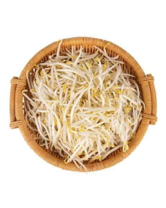 Bean Sprout - 10LB/case