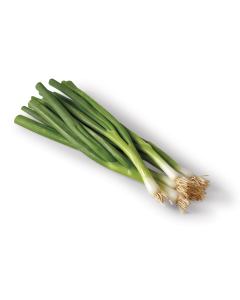 Green Onion - 4Doz/case