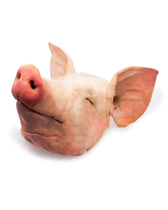 Pig Head - 1pc