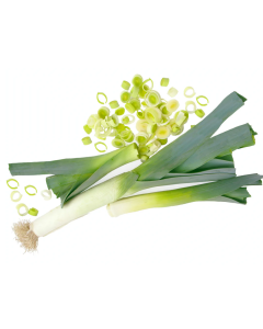 Shan Dong Leek  - 25lb/case