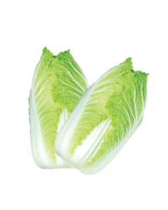 Cabbage - 45lb/case