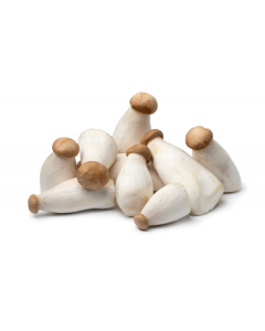 King Oyster Mushroom Loose - 11lb/case