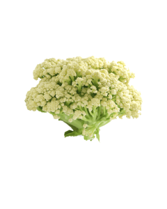 Chinese Cauliflower - 25lb/case