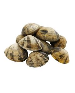 Clams Whole Frozen 11-20 - 2lb*10, $1.5/lb