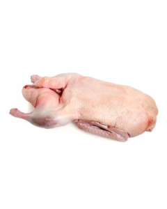Trimmed Duck4.0 - 25+- lb, $3.89/lb 