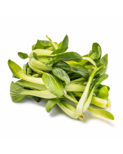 ShangHai seedings - 25LB/case