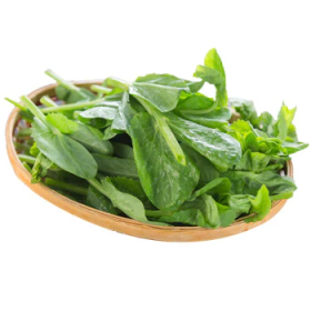 豆苗 10lb/箱