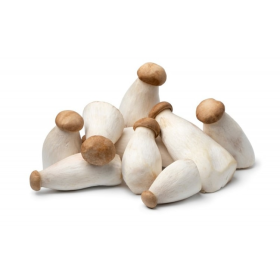 王子菇 11lb/箱