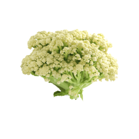 中國椰菜花（臺山花菜） 25lb/箱