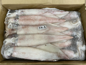 600+皮魷魚 - 42.5, $3.09//lb