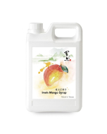 爱文芒果汁 5.5磅/桶 - 4桶/箱