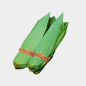 Bamboo Leaves